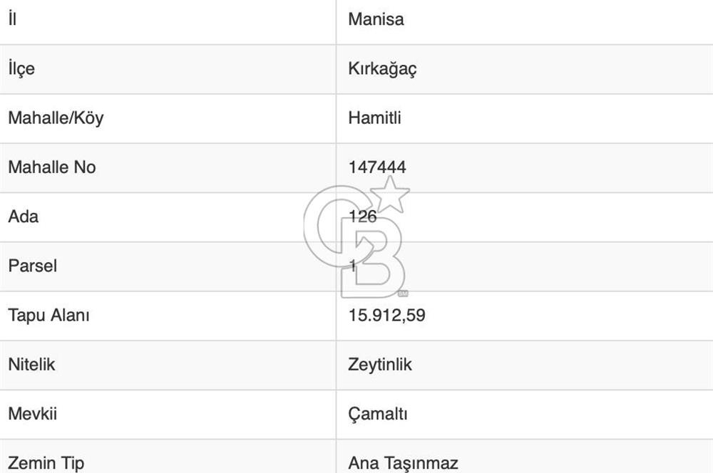 MANİSA KIRKAĞAÇ HAMİTLİ KÖYÜNDE SATILIK ZEYTİNLİK