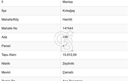 MANİSA KIRKAĞAÇ HAMİTLİ KÖYÜNDE SATILIK ZEYTİNLİK