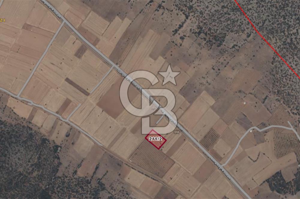 Tavas Garipköy Mah. 4.826 M² Satılık Tarla