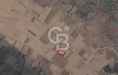 Tavas Garipköy Mah. 4.826 M² Satılık Tarla