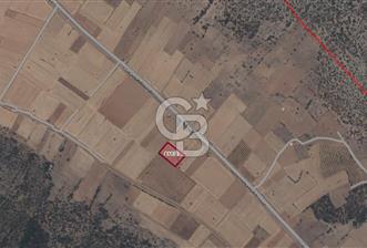 Tavas Garipköy Mah. 4.826 M² Satılık Tarla - 1 - 318846