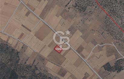 Tavas Garipköy Mah. 4.826 M² Satılık Tarla