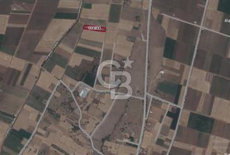 Tavas Garipköy Mah. 3.375 M² Satılık Tarla - 2 - 318845