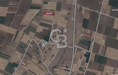 Tavas Garipköy Mah. 3.375 M² Satılık Tarla