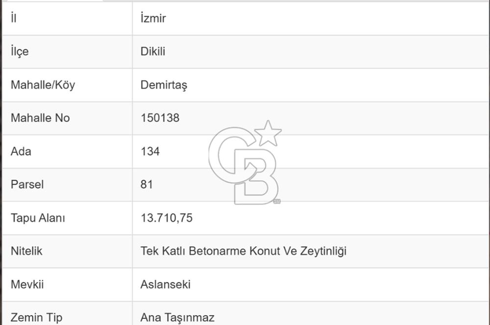 C.B ROUTE'TAN MUHTEŞEM SATILIK ZEYTİNLİK VE BETONARME EV