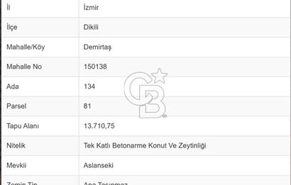 C.B ROUTE'TAN MUHTEŞEM SATILIK ZEYTİNLİK VE BETONARME EV