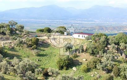 Aydın - Çakırbeyli Adnan Menderes'in Meşhur Köyünde Eşsiz Numeratajlı Arazi