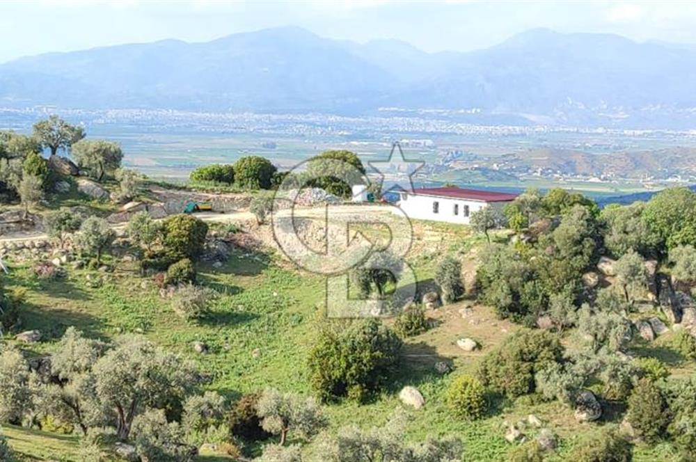 Aydın - Çakırbeyli Adnan Menderes'in Meşhur Köyünde Eşsiz Numeratajlı Arazi