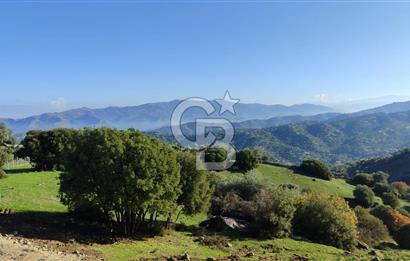 Aydın - Çakırbeyli Adnan Menderes'in Meşhur Köyünde Eşsiz Numeratajlı Arazi