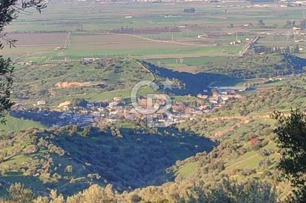 Aydın - Çakırbeyli Adnan Menderes'in Meşhur Köyünde Eşsiz Numeratajlı Arazi