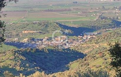 Aydın - Çakırbeyli Adnan Menderes'in Meşhur Köyünde Eşsiz Numeratajlı Arazi