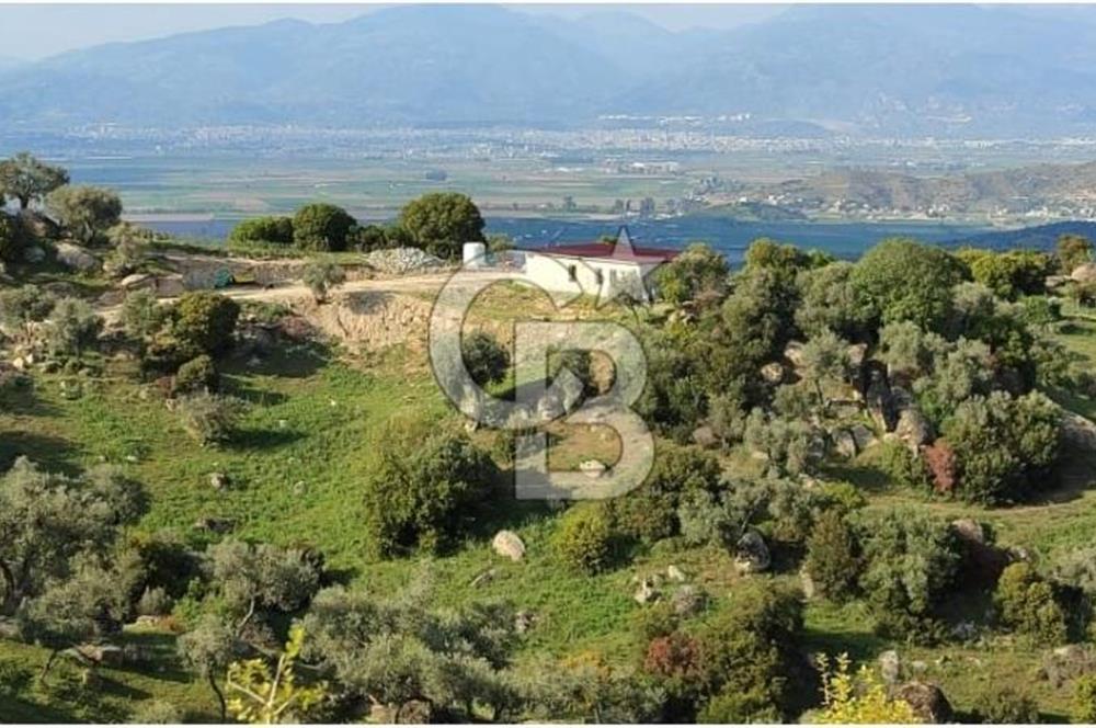 Aydın - Çakırbeyli Adnan Menderes'in Meşhur Köyünde Eşsiz Numeratajlı Arazi