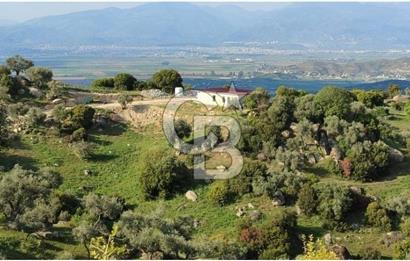 Aydın - Çakırbeyli Adnan Menderes'in Meşhur Köyünde Eşsiz Numeratajlı Arazi