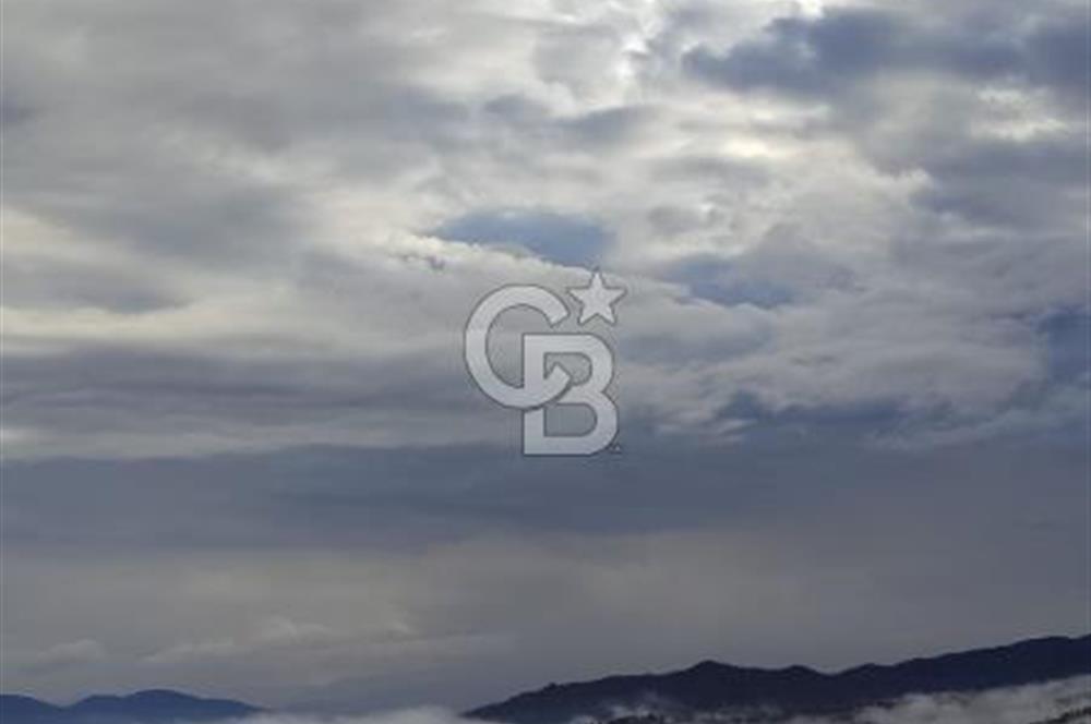 Aydın - Çakırbeyli Adnan Menderes'in Meşhur Köyünde Eşsiz Numeratajlı Arazi