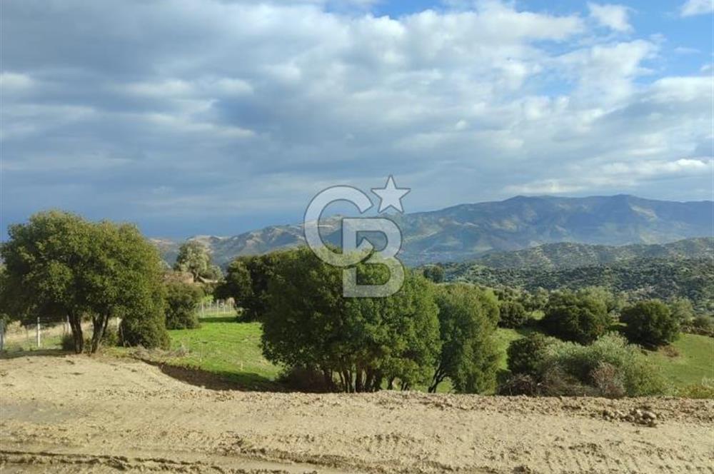 Aydın - Çakırbeyli Adnan Menderes'in Meşhur Köyünde Eşsiz Numeratajlı Arazi