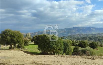 Aydın - Çakırbeyli Adnan Menderes'in Meşhur Köyünde Eşsiz Numeratajlı Arazi