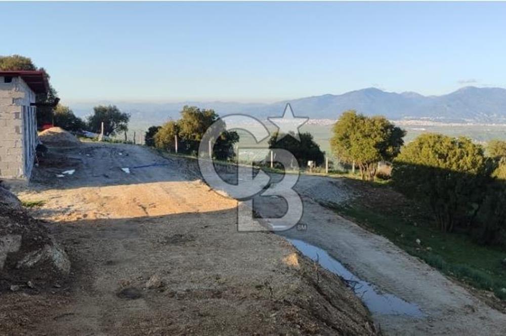 Aydın - Çakırbeyli Adnan Menderes'in Meşhur Köyünde Eşsiz Numeratajlı Arazi