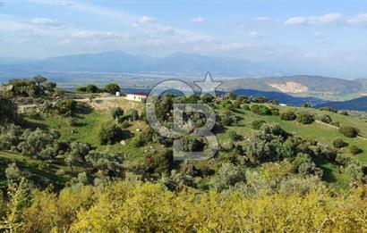 Aydın - Çakırbeyli Adnan Menderes'in Meşhur Köyünde Eşsiz Numeratajlı Arazi