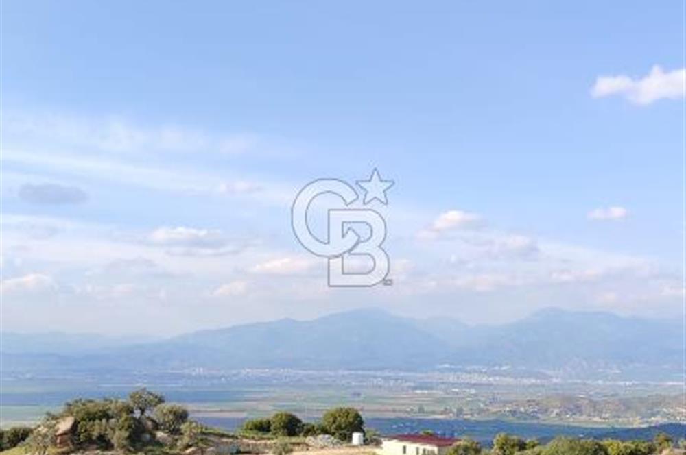 Aydın - Çakırbeyli Adnan Menderes'in Meşhur Köyünde Eşsiz Numeratajlı Arazi