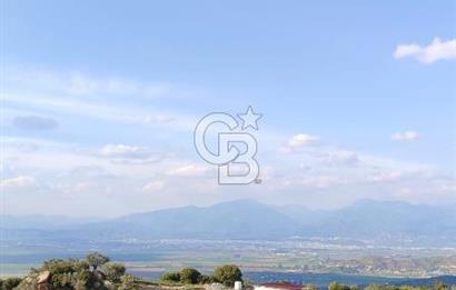 Aydın - Çakırbeyli Adnan Menderes'in Meşhur Köyünde Eşsiz Numeratajlı Arazi