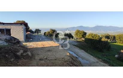 Aydın - Çakırbeyli Adnan Menderes'in Meşhur Köyünde Eşsiz Numeratajlı Arazi