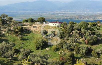 Aydın - Çakırbeyli Adnan Menderes'in Meşhur Köyünde Eşsiz Numeratajlı Arazi