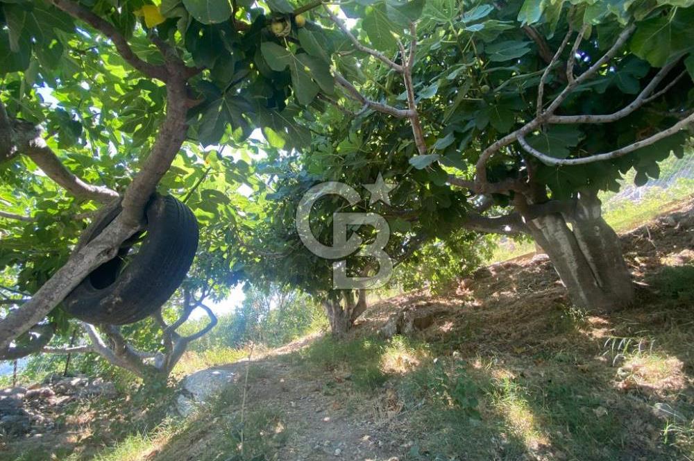 Güzelbahçe'de Satılık Prefabrik Doğa İçerisinde Dağ Evi