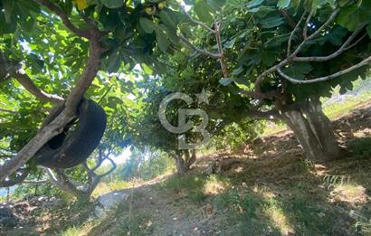 Güzelbahçe'de Satılık Prefabrik Doğa İçerisinde Dağ Evi