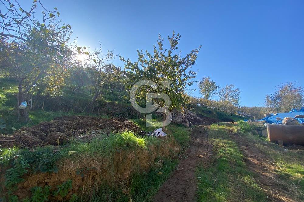 YOMRA SANCAK MAHALLESİNDE KAT KARŞILIĞI ARSA
