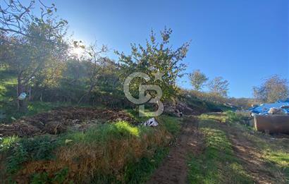 YOMRA SANCAK MAHALLESİNDE KAT KARŞILIĞI ARSA