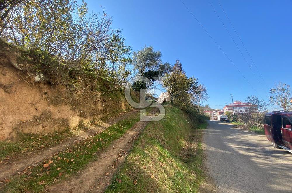 YOMRA SANCAK MAHALLESİNDE KAT KARŞILIĞI ARSA