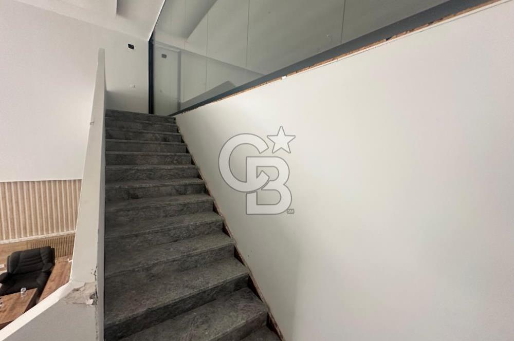 AUTOZONE ANADOLU BLV. CEPHE TABELA DEĞERİ YÜKSEK SATILIK DÜKKAN