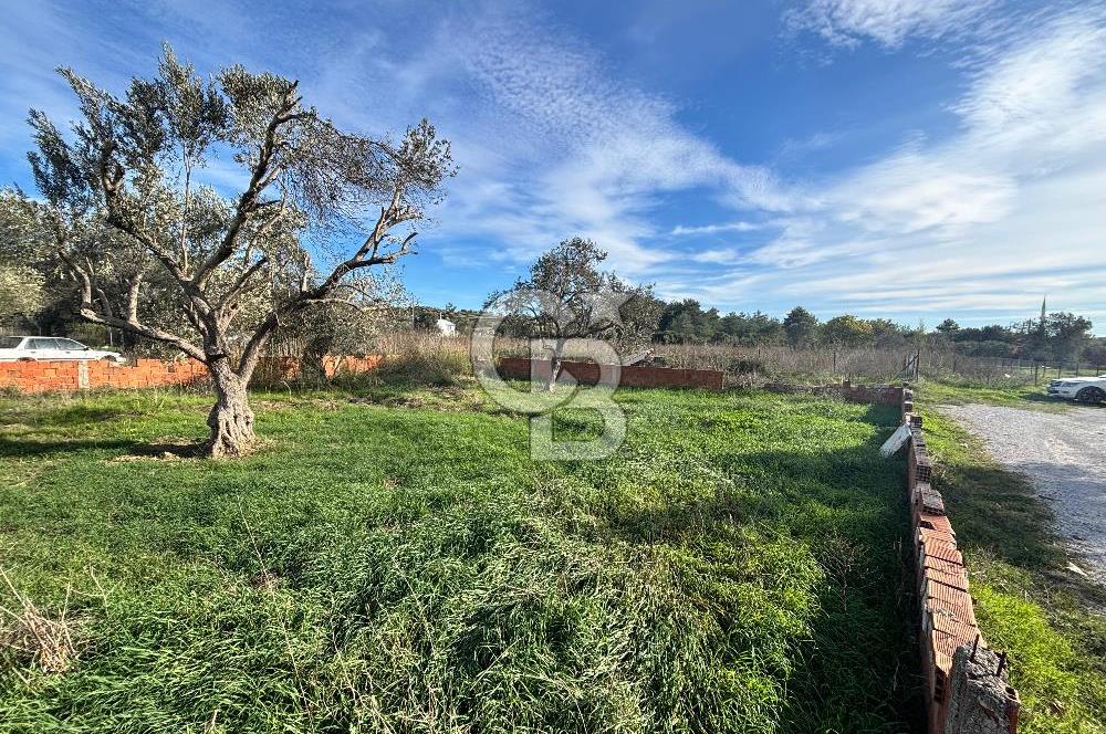 URLA TORASAN'DA SATILIK ARSA