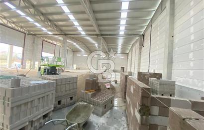 (6000 m2 = 1000 + 1000 + 2000 + 2000) SATILIK SIFIR FABRİKA 