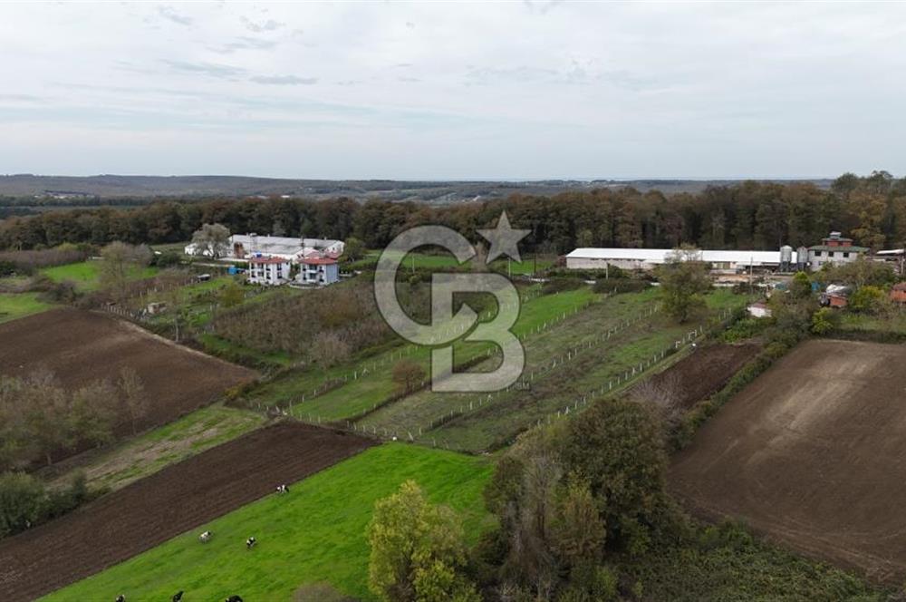 Kaynarca-Turnalı'da Kat İrtifak Projeli Tripleks Villa Arsası