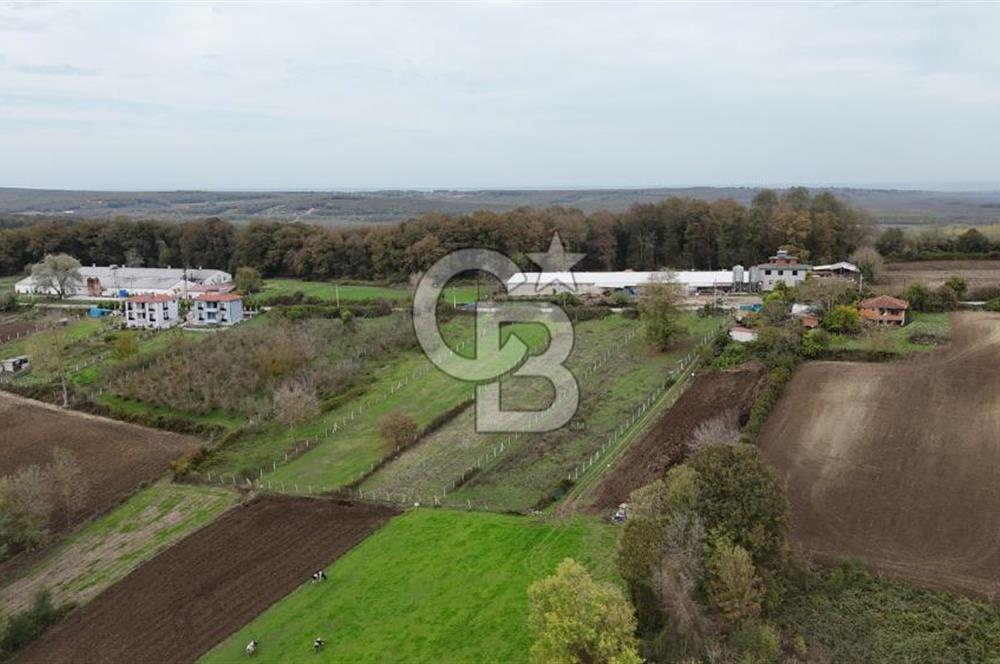 Kaynarca-Turnalı'da Kat İrtifak Projeli Tripleks Villa Arsası