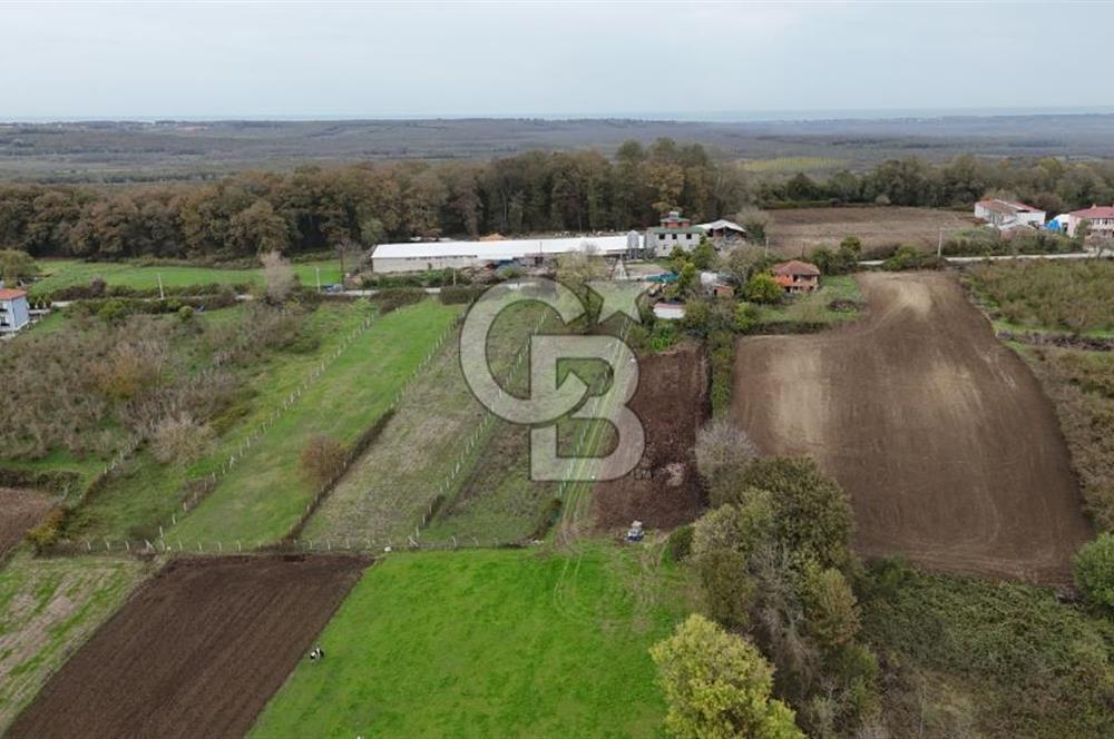 Kaynarca-Turnalı'da Kat İrtifak Projeli Tripleks Villa Arsası