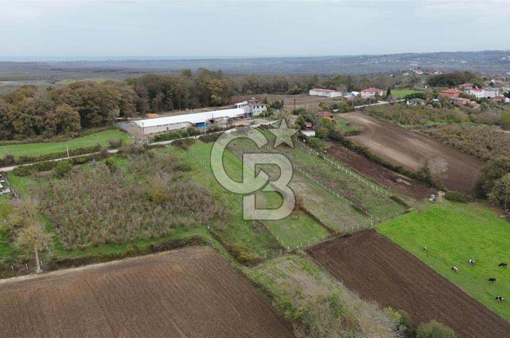 Kaynarca-Turnalı'da Kat İrtifak Projeli Tripleks Villa Arsası