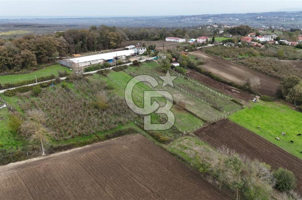 Kaynarca-Turnalı'da Kat İrtifak Projeli Tripleks Villa Arsası