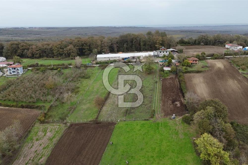 Kaynarca-Turnalı'da Kat İrtifak Projeli Tripleks Villa Arsası