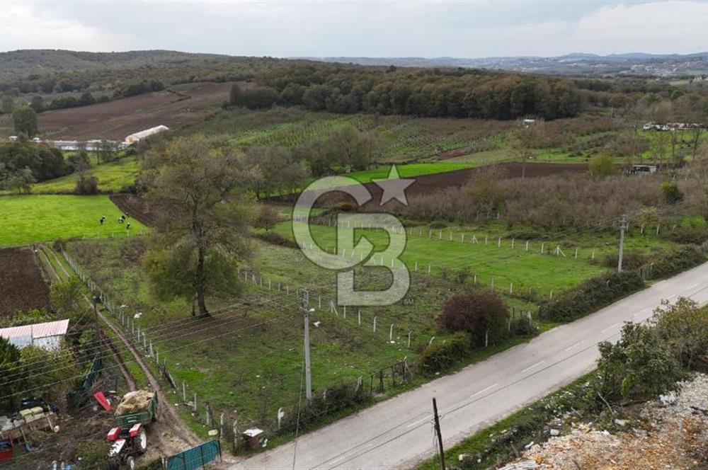 Kaynarca-Turnalı'da Kat İrtifak Projeli Tripleks Villa Arsası