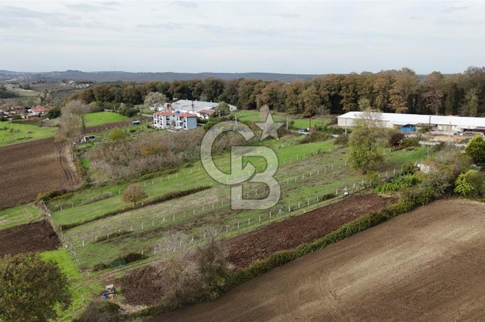 Kaynarca-Turnalı'da Kat İrtifak Projeli Tripleks Villa Arsası