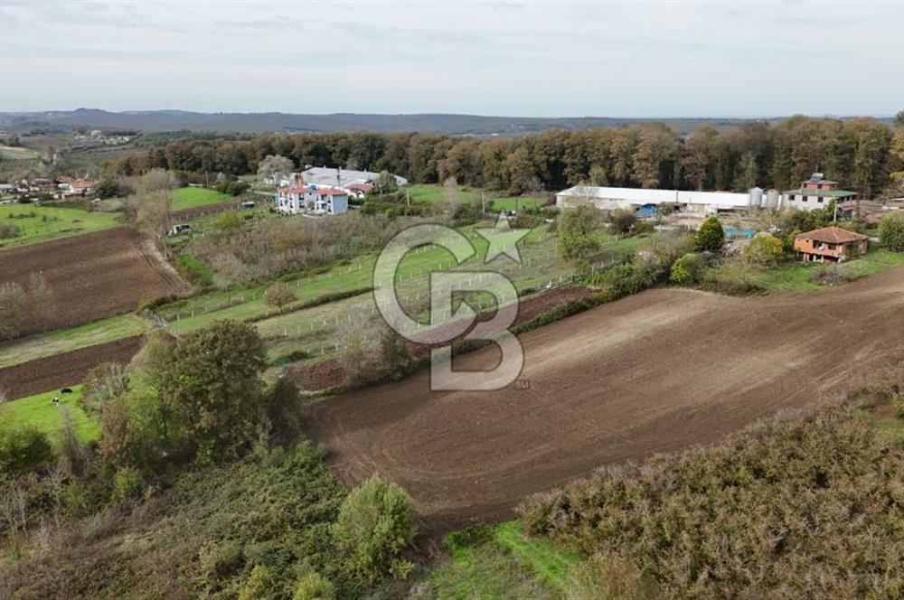 Kaynarca-Turnalı'da Kat İrtifak Projeli Tripleks Villa Arsası