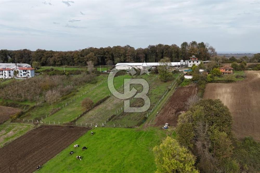 Kaynarca-Turnalı'da Kat İrtifak Projeli Tripleks Villa Arsası