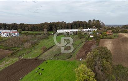 Kaynarca-Turnalı'da Kat İrtifak Projeli Tripleks Villa Arsası