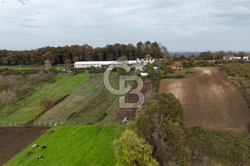 Kaynarca-Turnalı'da Kat İrtifak Projeli Tripleks Villa Arsası