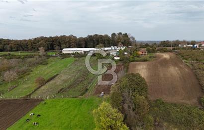 Kaynarca-Turnalı'da Kat İrtifak Projeli Tripleks Villa Arsası