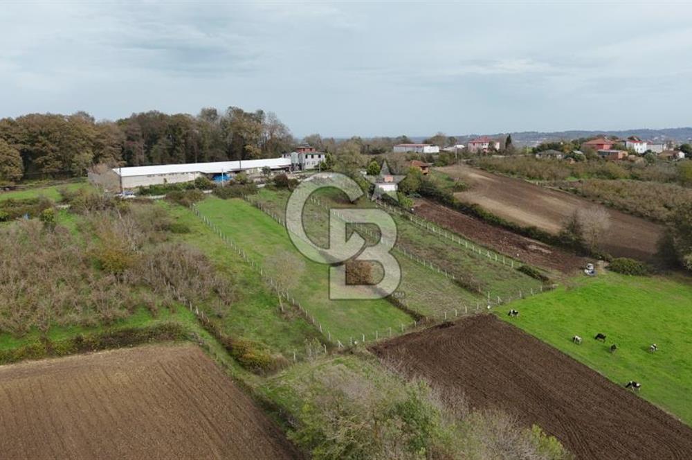 Kaynarca-Turnalı'da Kat İrtifak Projeli Tripleks Villa Arsası