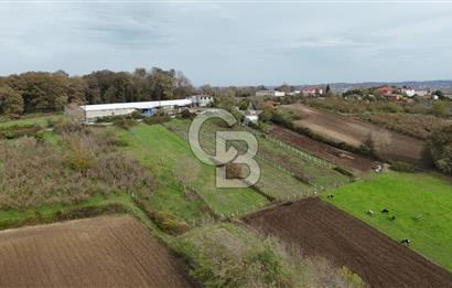 Kaynarca-Turnalı'da Kat İrtifak Projeli Tripleks Villa Arsası