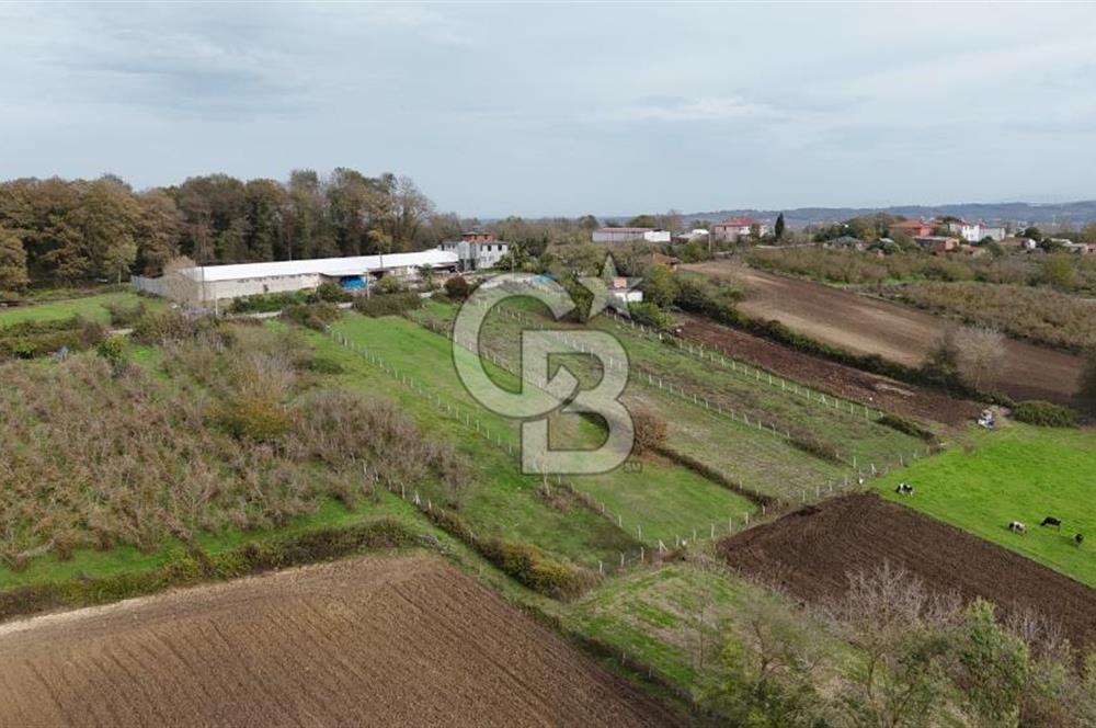 Kaynarca-Turnalı'da Kat İrtifak Projeli Tripleks Villa Arsası